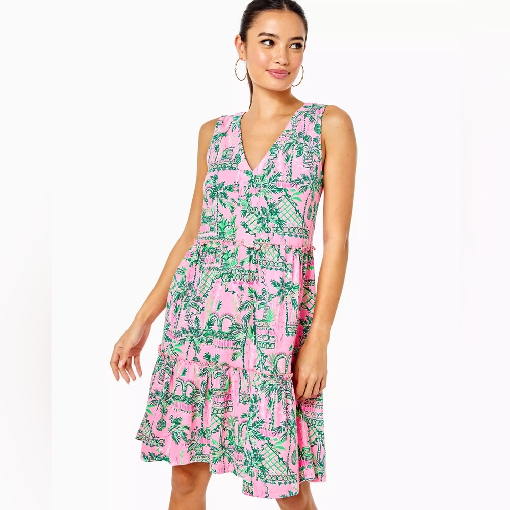 NWT Lilly Pulitzer Lorina Swing Dress Always Worth It SZ XS